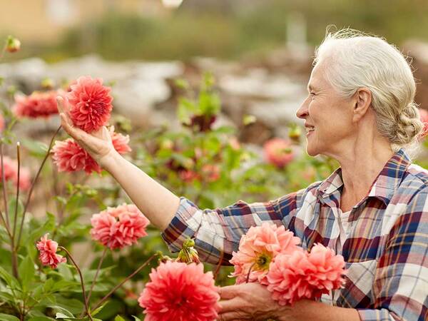 Alzheimer's and Related Dementias
